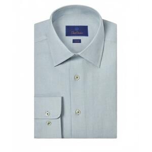 NEW DAVID DONAHUE men's micro dobby long sleeve dress shirt in grass/ blue